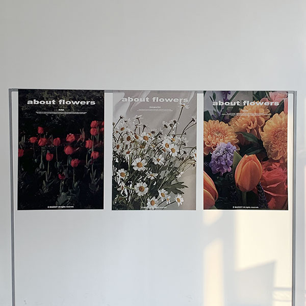 A2 / about flowers (poster)